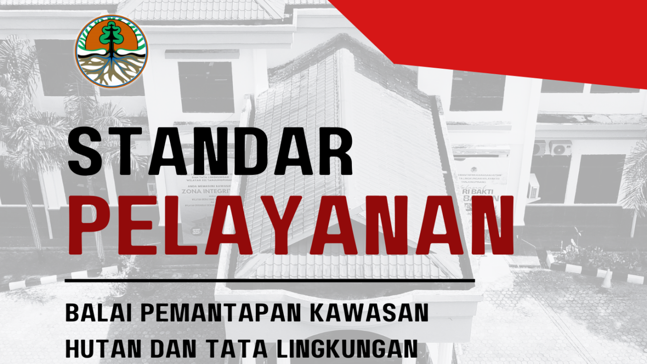 standar pelayanan